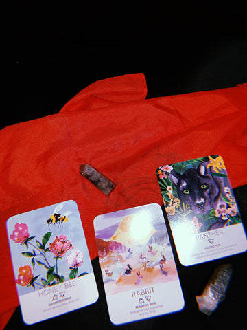 3 card reading - spirit animal wisdom